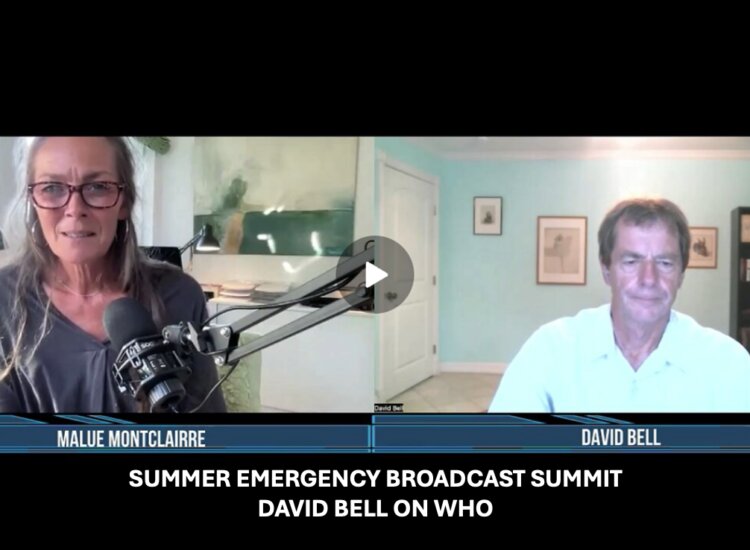 SUMMER EMERGENCY BROADCAST SUMMIT – DAVID BELL ON WHO