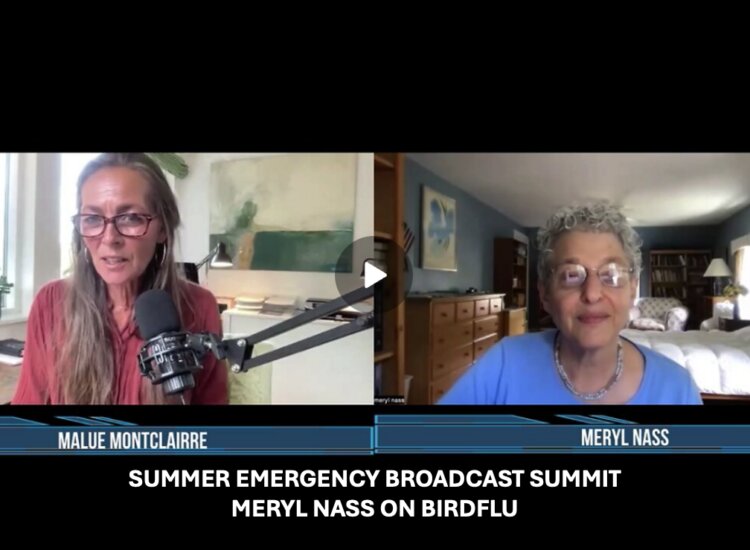 SUMMER EMERGENCY BROADCAST SUMMIT – MERYL NASS ON BIRDFLU