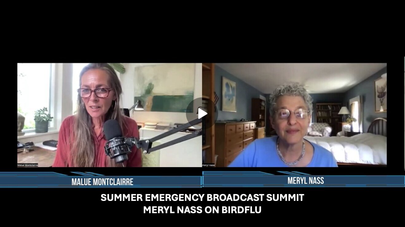 SUMMER EMERGENCY BROADCAST SUMMIT – MERYL NASS ON BIRDFLU