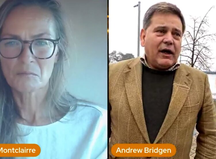 FREE DR. REINER FUELLMICH – LIVESTREAM 1
