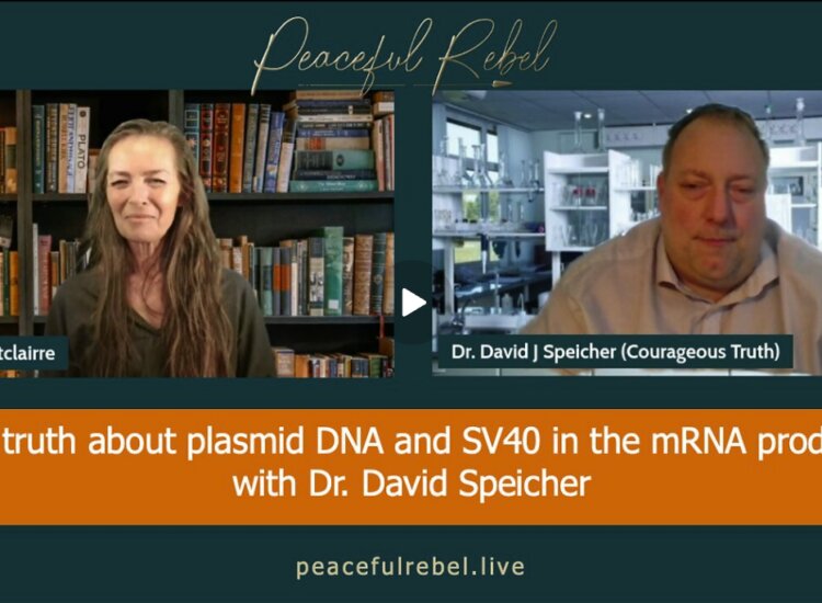 SANDHEDEN OM PLASMID-DNA OG SV40-PROMOTER I MRNA-PRODUKTER – MED DR. DAVID SPEICHER