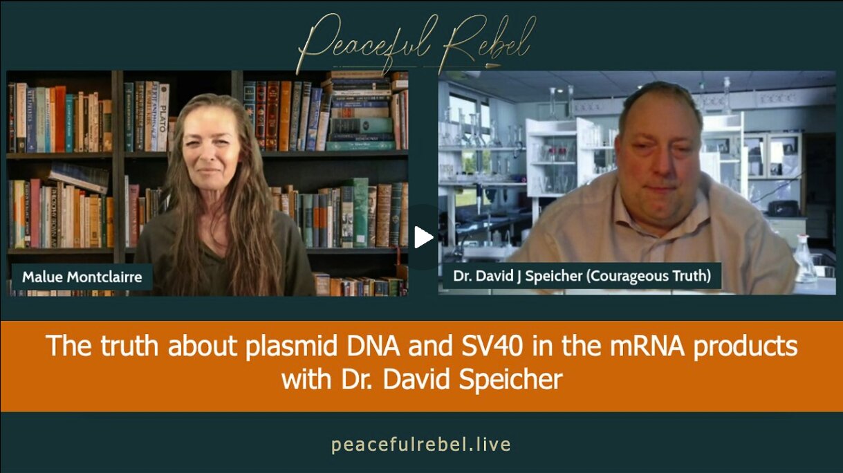 SANDHEDEN OM PLASMID-DNA OG SV40-PROMOTER I MRNA-PRODUKTER – MED DR. DAVID SPEICHER